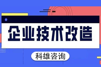 東莞高新技術(shù)企業(yè)技術(shù)咨詢服務(wù)市場(chǎng)價(jià)值與費(fèi)用解析