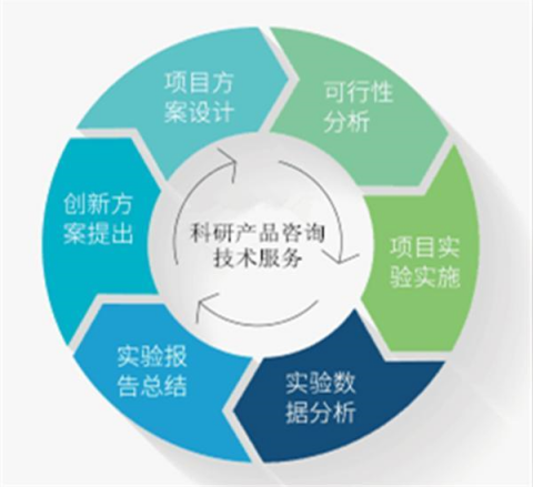 國產(chǎn)大鼠血小板因子4 ELISA檢測(cè)試劑盒技術(shù)指南 從實(shí)驗(yàn)設(shè)計(jì)到數(shù)據(jù)分析